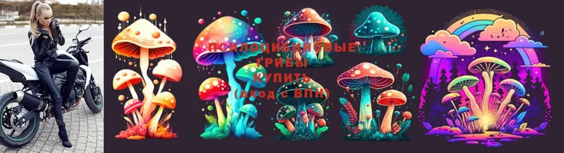 Псилоцибиновые грибы Psilocybe  kraken ONION  Биробиджан 